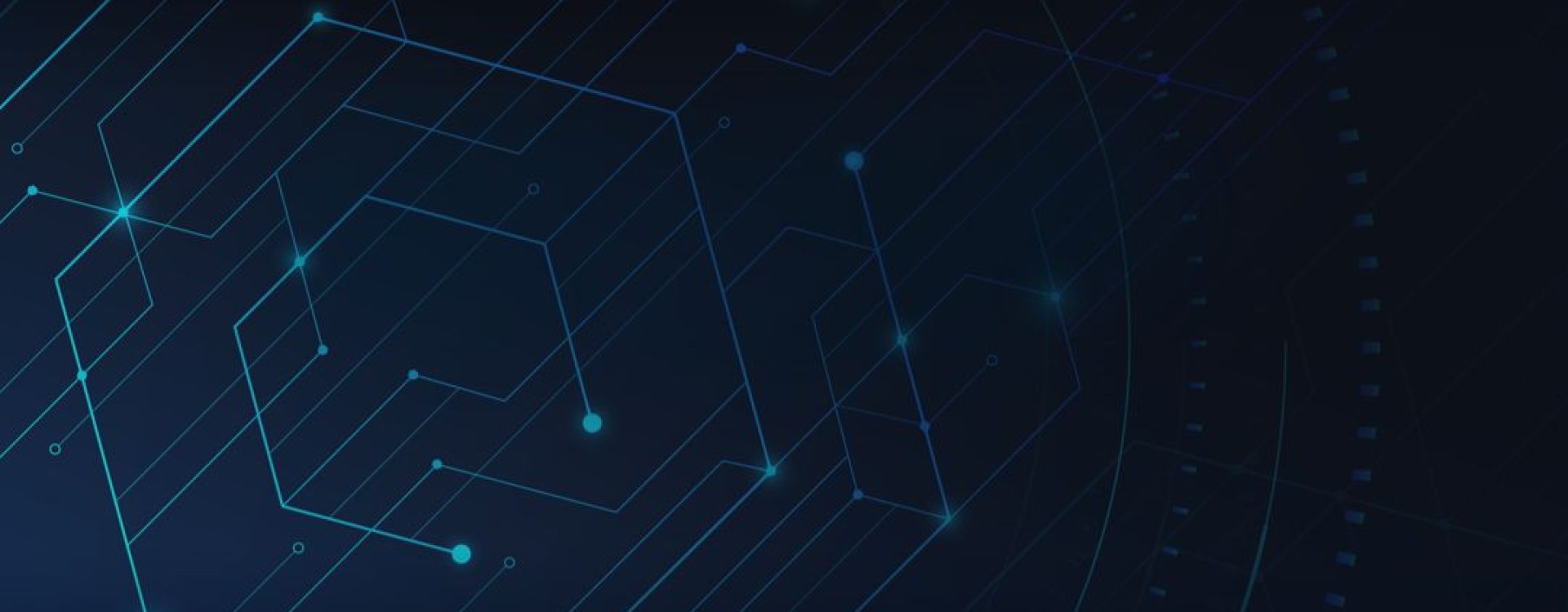 Software Leadership Council