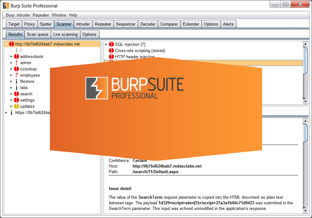 Burp Suite