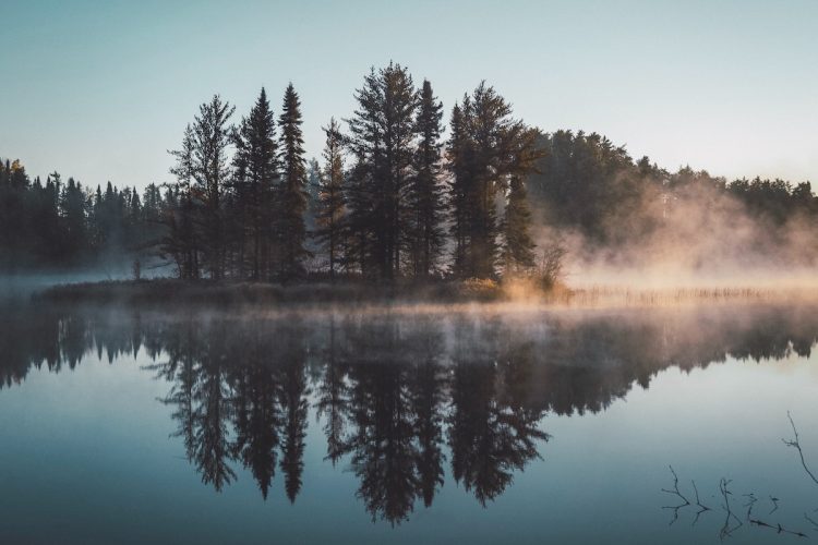 Wooded lake island water reflection